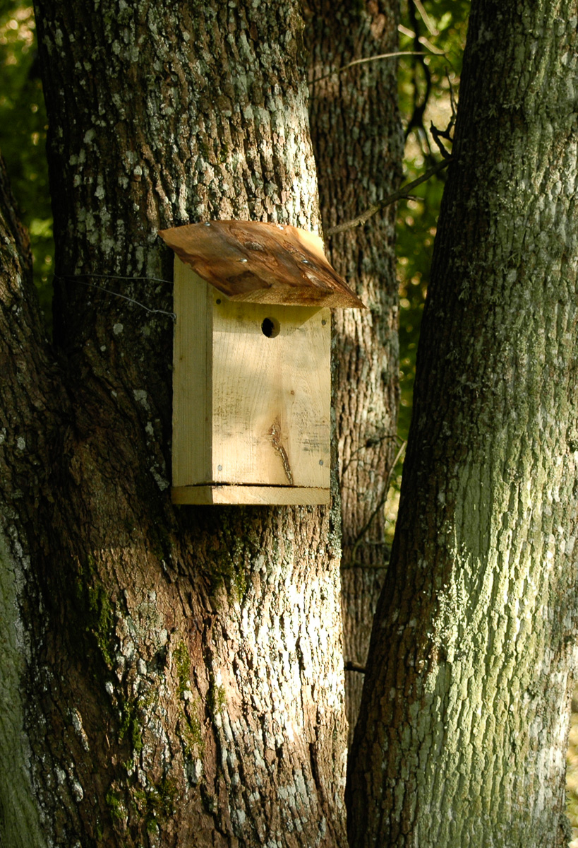 2026-09-27 Holksnickring i Yxnaholma